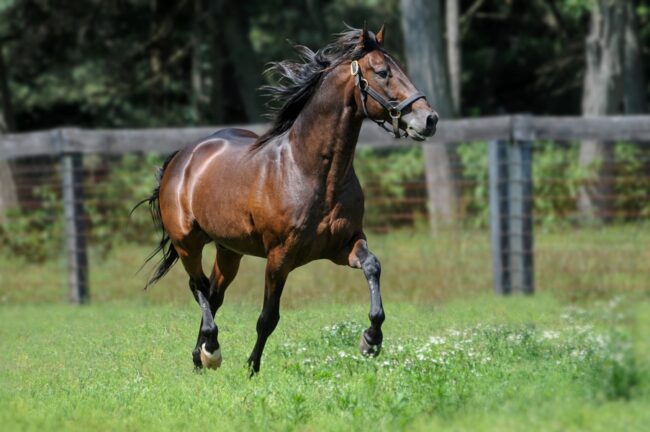 Rocknroll Hanover – 11