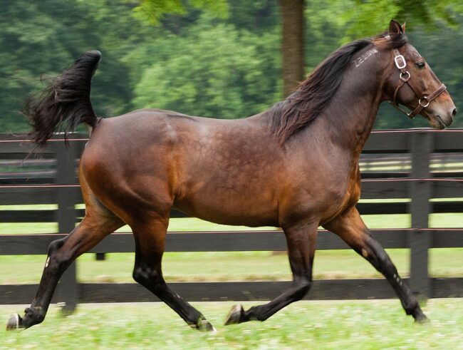 Rocknroll Hanover – 15