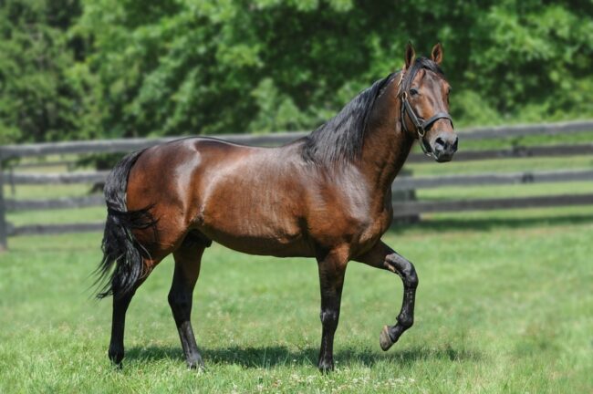 Rocknroll Hanover – 19