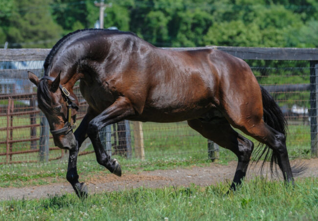 Rocknroll Hanover