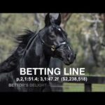 Betting Line - Paddock Footage