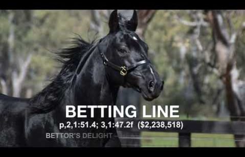 Betting Line - Paddock Footage