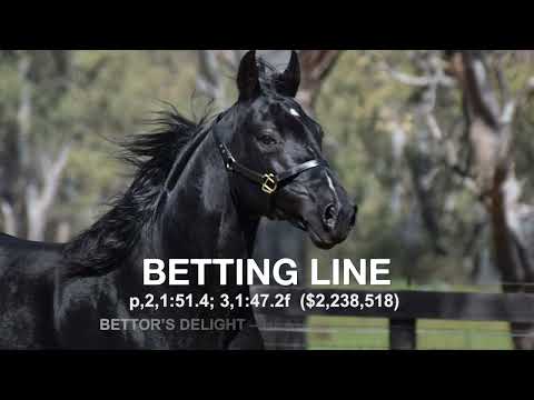 Betting Line - Paddock Footage