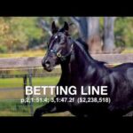 Betting Line - Promotional Video