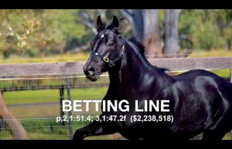 Betting Line - Promotional Video