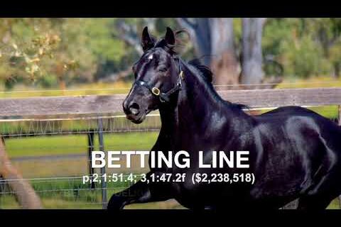 Betting Line - Promotional Video
