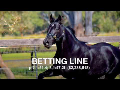 Betting Line – Promotional Video Betting Line - Promotional Video