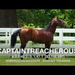 Captaintrecherous - Paddock Footage