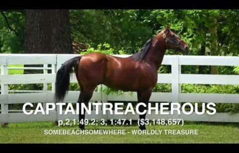 Captaintrecherous - Paddock Footage