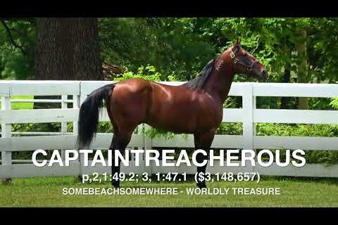 Captaintrecherous - Paddock Footage