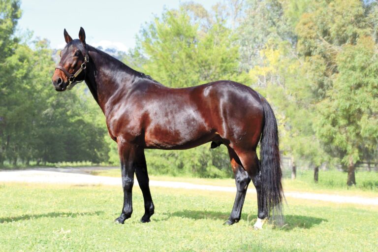 Heston Blue Chip Conformation