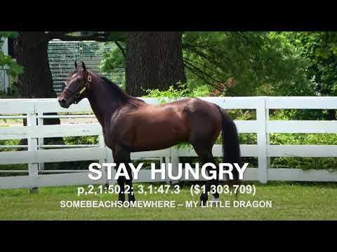 Stay Hungry - Paddock Footage