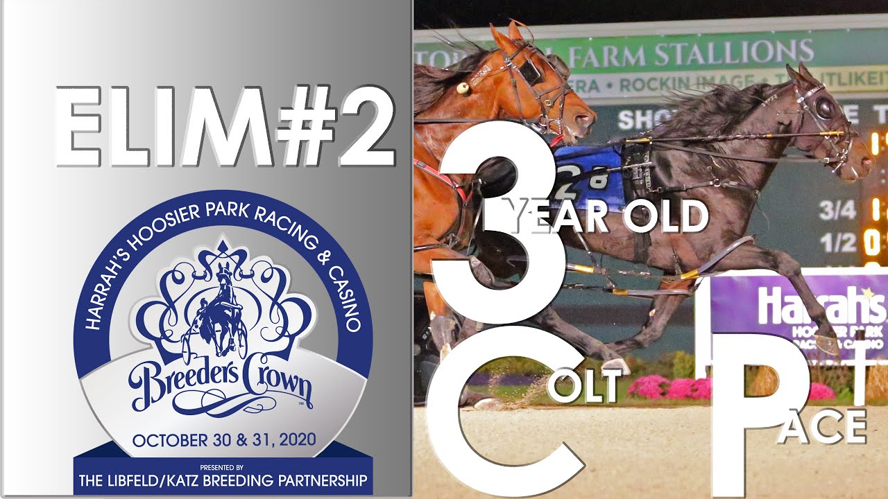 Tall Dark Stranger - $25,000 Breeders Crown Elimination