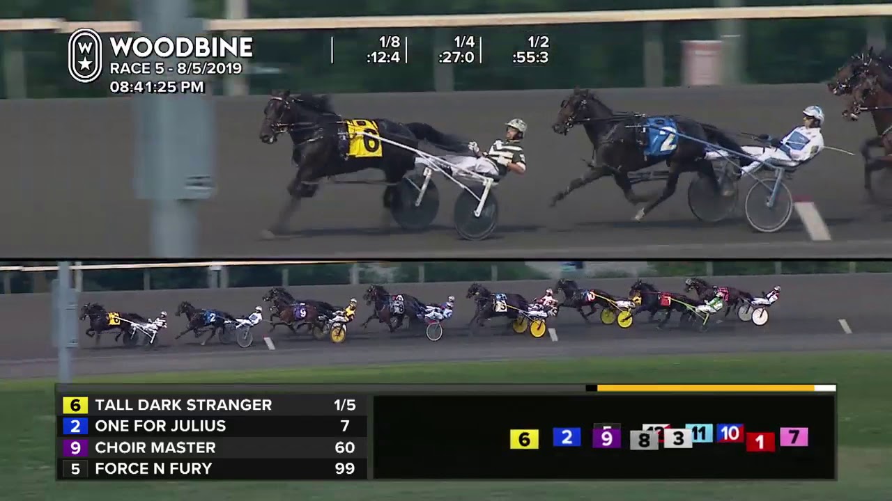 Tall Dark Stranger - 2YO Dream Maker Series at Woodbine