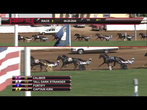 Tall Dark Stranger -$250,000 Kentucky Sires Stakes Final