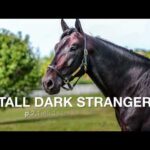 Tall Dark Stranger - Race Calls