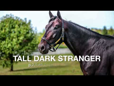 Tall Dark Stranger - Race Calls
