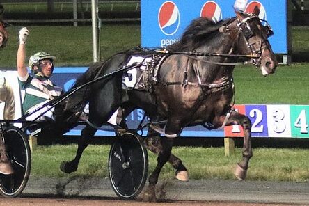 Tall Dark Stranger 4