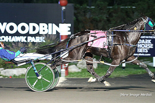 Abuckabett Hanover Simcoe