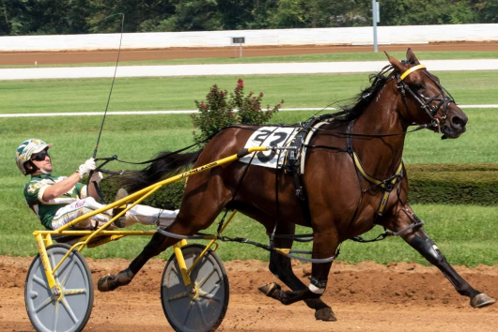 Blue Diamond Eyes Amanda Stephens Photo