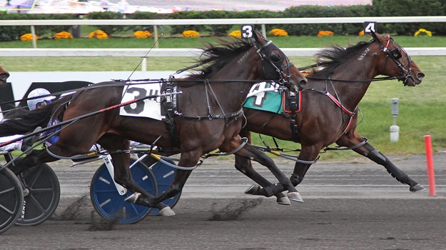 Rocknificent Breeders Crown Rocknificent