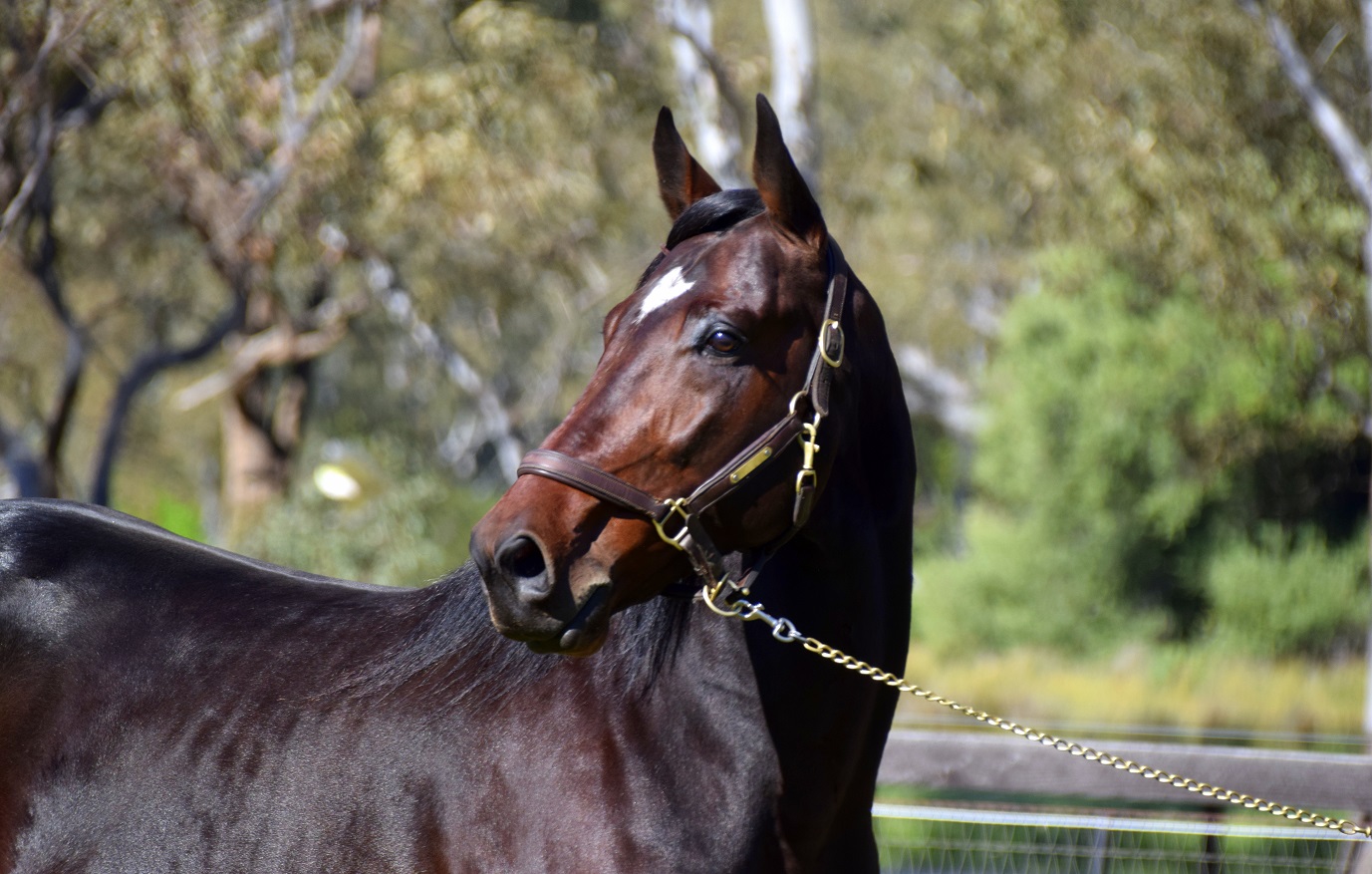 SMALL 2018 Huntsville 10 Huntsville