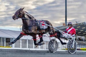 Aurora Joy Harness Racing