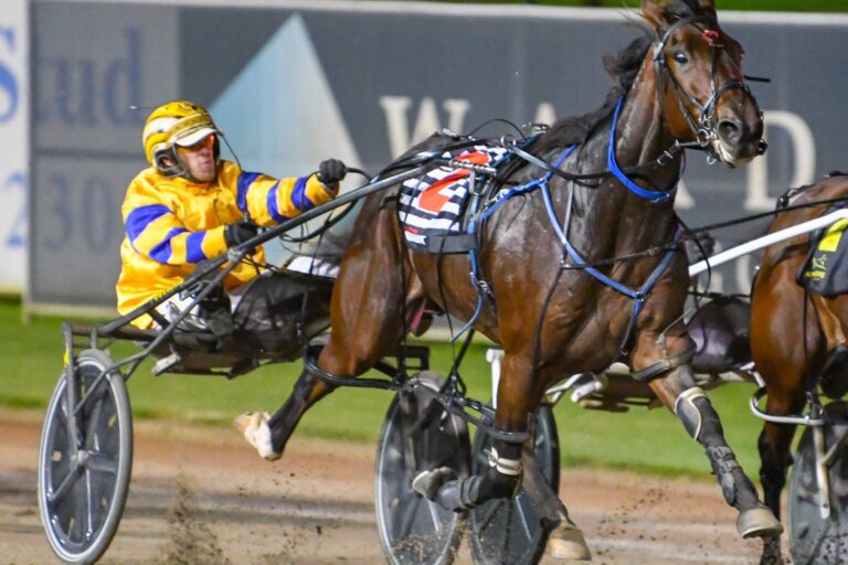 Double Act Harness Pacing Horse