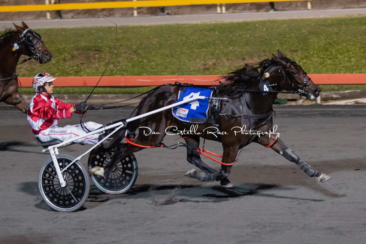 Aurora Joy Dan Costello