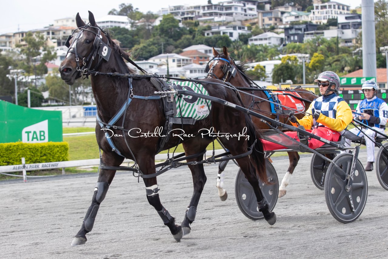 BL Lady Digby Lady Digby