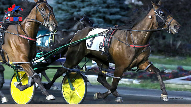 Fast As The Wind Treacherous Dragon
