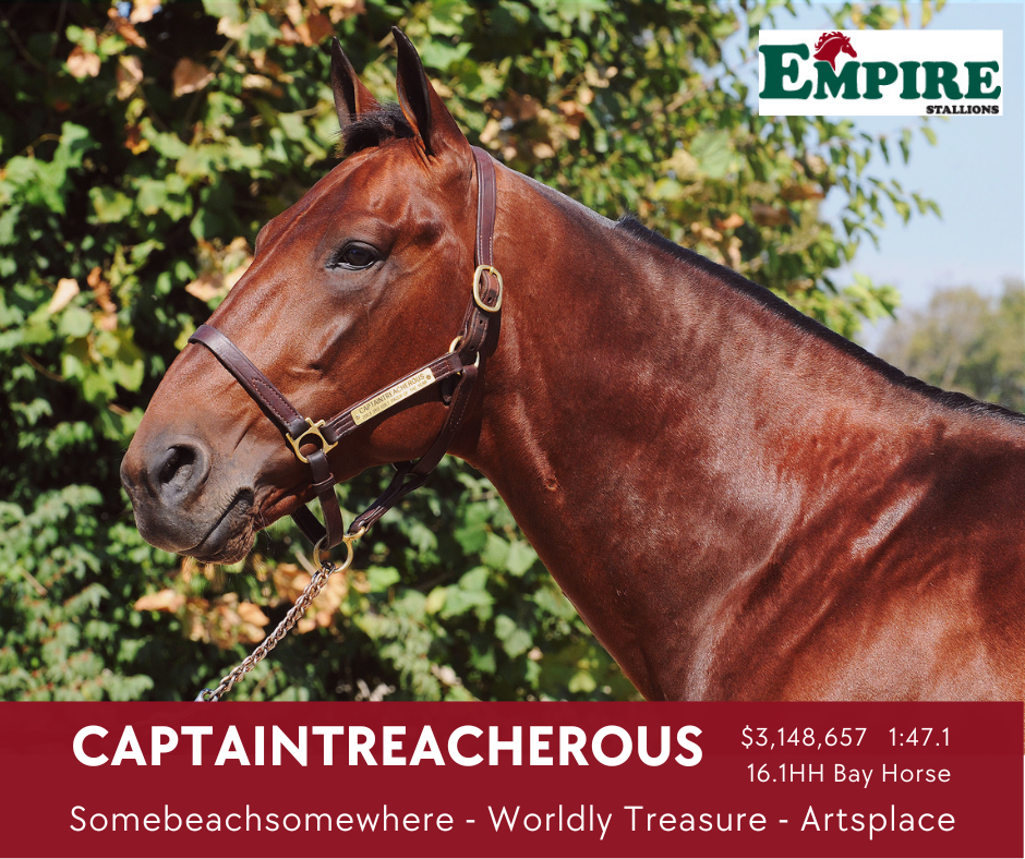 CAPTAINTREACHEROUS-2