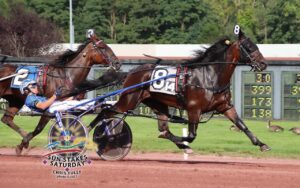 Allywag Hanover