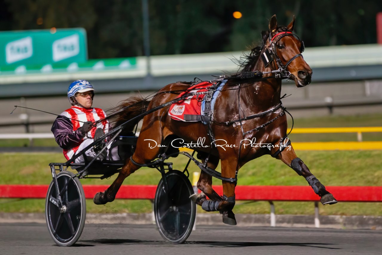 CT Aye Aye Captain Aye Aye Captain