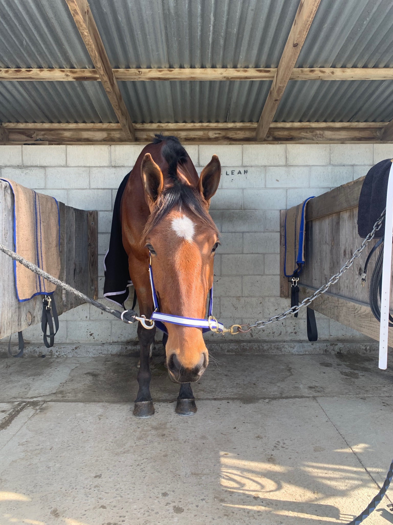 CT Millwood Nike I Millwood Nike