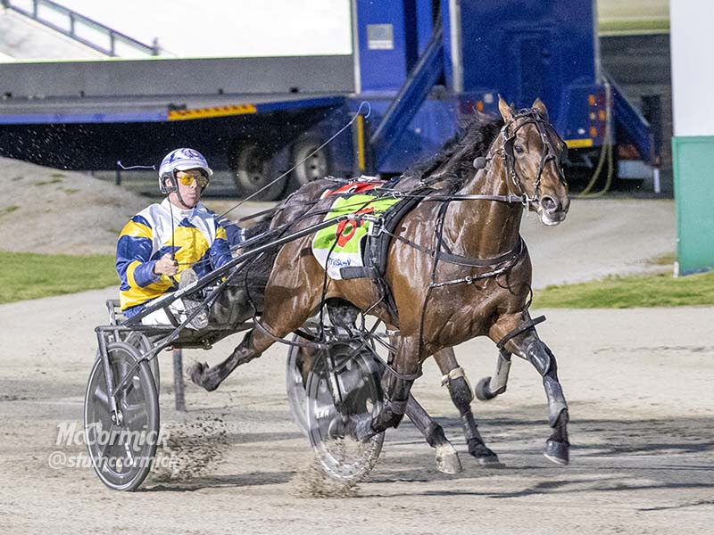 CT Petracca Petracca