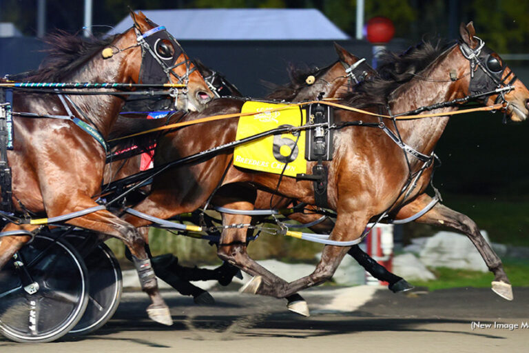 Treacherous Dragon BC