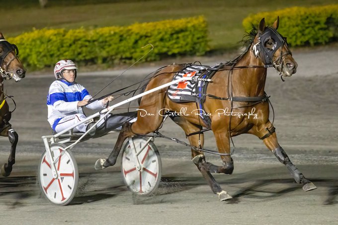 CT Madrigal Madrigal