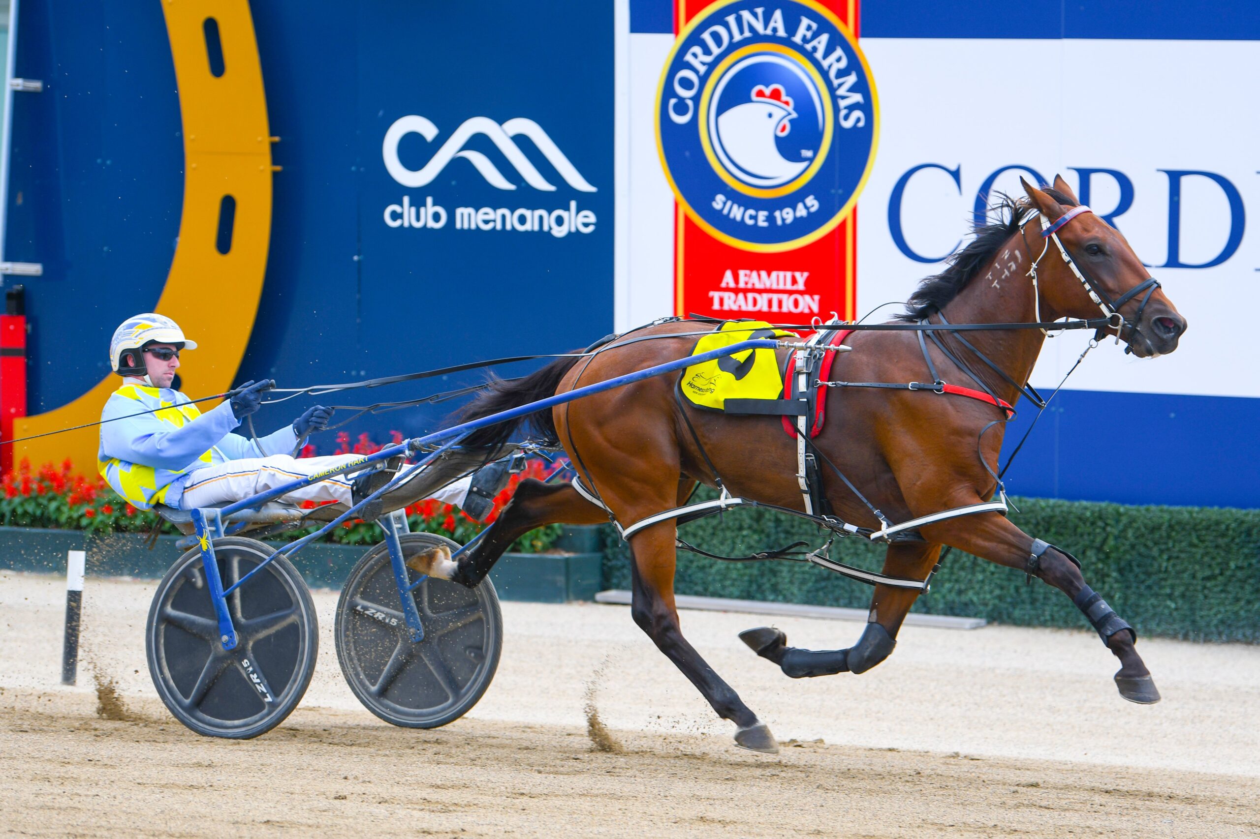 CT Rumble Stride Rumble Stride