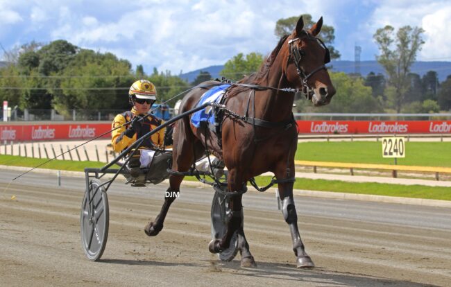 CT Lochinvar Xena