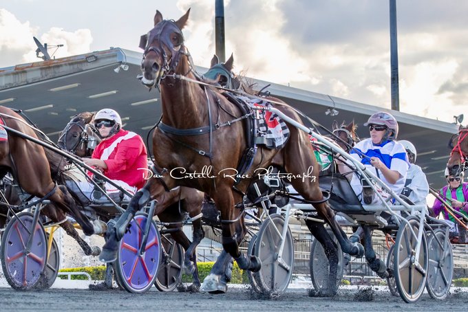 CT Madrigal II Madrigal