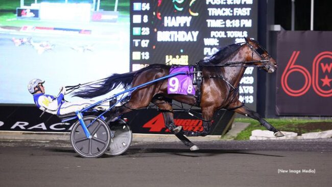 SH Redwood Hanover Redwood Hanover