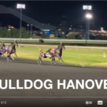 Meet Bulldog Hanover & His Trainer