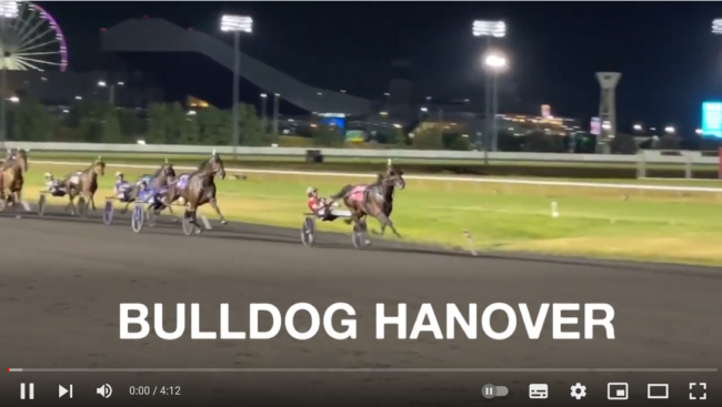 Meet Bulldog Hanover & His Trainer Meet Bulldog Hanover & His Trainer
