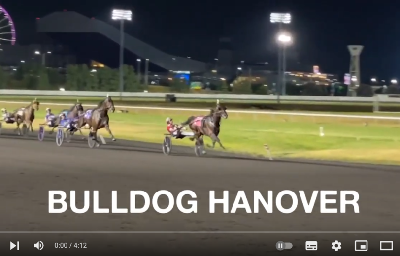 Meet Bulldog Hanover & His Trainer
