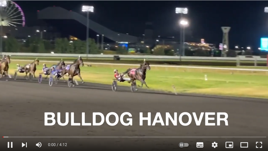 Meet Bulldog Hanover & His Trainer