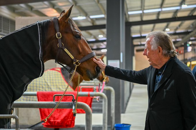 CT Captain Hammerhead Captain Hammerhead