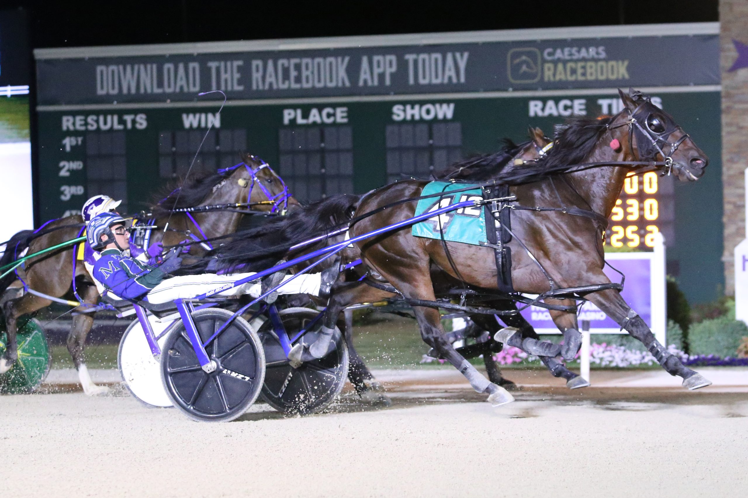 CT Allywag Hanover HHP PD Allywag Hanover Derby Dean Gillette Photography