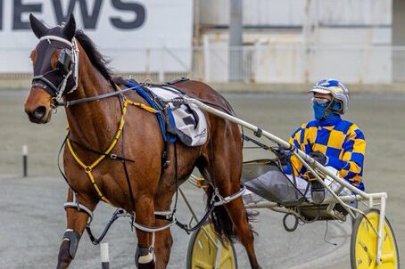 Captain Bligh PacePix