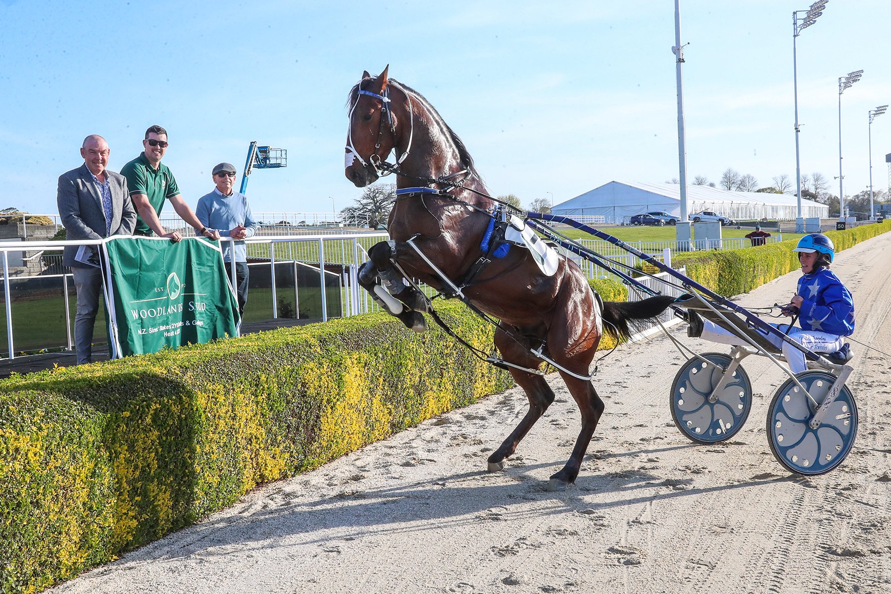 CT Chase A Dream NZSSB